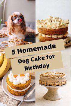 a collage of photos with cake and dog on it, including banana's