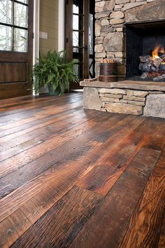 a wood floor in front of a fireplace with a potted plant on top of it