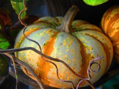 a group of pumpkins sitting on top of a table