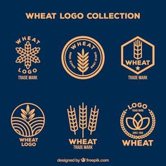 wheat logo collection in gold and blue