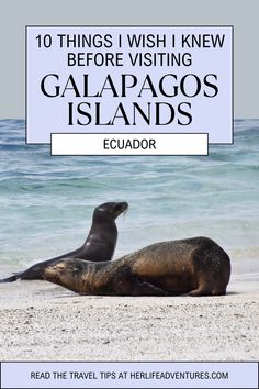 two sea lions on the beach with text overlay reading 10 things i wish knew before visiting galapagos islands