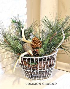 a basket filled with pine cones and evergreens sitting on top of a white counter