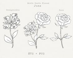 three different types of flowers are shown in this graphic style, with the names of each flower