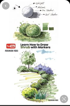 how to draw trees and shrubs in watercolor