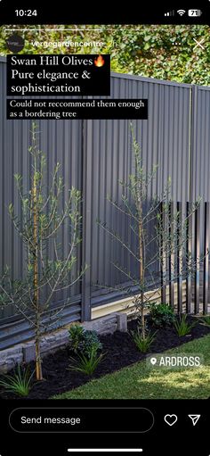 an image of a fenced in area with trees and shrubs on it, the screen is