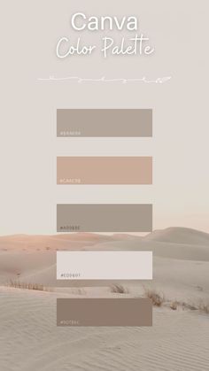 the color palette for canva is shown in shades of brown, beige and white