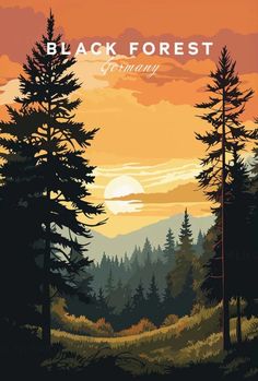 a poster with the words black forest on it's side and trees in the background