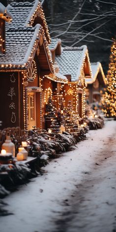 a row of houses covered in christmas lights