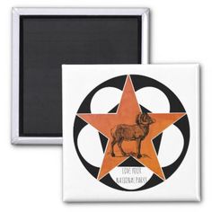 an orange and black star with the words love your national park on it refrigerator magnet