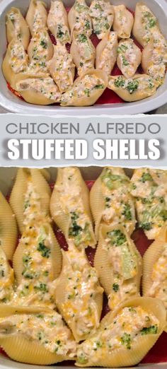 chicken broccoli alfredo stuffed shells in a red pan with the title above it