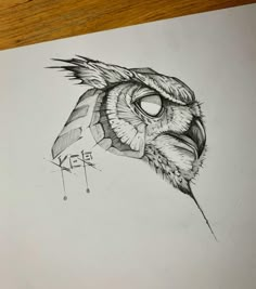 a pencil drawing of an owl's head