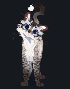 a cat with big blue eyes standing in the dark