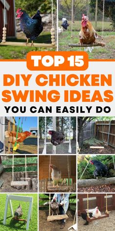 the top 15 diy chicken swing ideas you can easily do