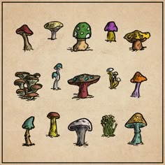 an image of different types of mushrooms on a piece of parchment paper with colored ink