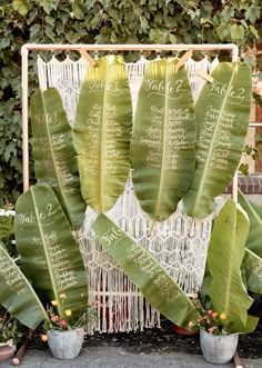 wedding seating plan displayed on macrami plant with potted plants and greenery