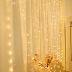 a vase filled with flowers sitting on top of a table next to a window covered in lights