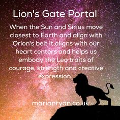 a lion standing on top of a hill under a night sky with stars and the words lion's gate portal