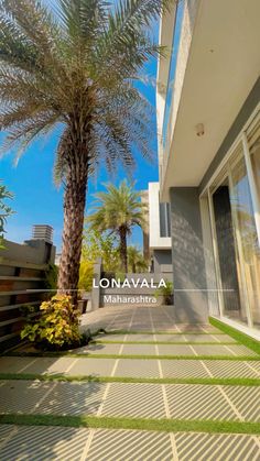 a palm tree in front of a building with the words lonavala written on it