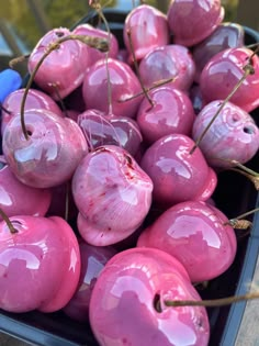 there are many pink cherries in the tray