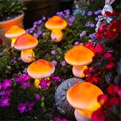 glowing mushrooms in the garden surrounded by flowers