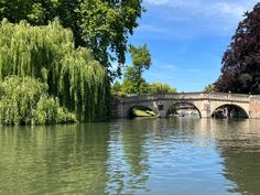 a bridge over a body of water surrounded by trees