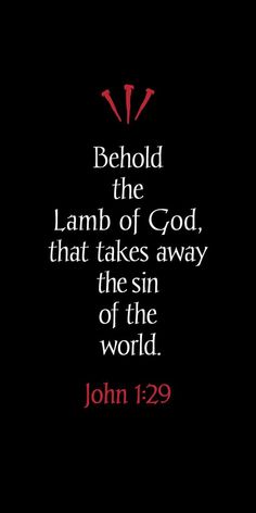 Behold, the Lamb of God who takes away the sins of the world. (John 1:29) These original banner designs are dye sublimated onto polyester fabric that hangs nicely and has a satin luster to it. Banners Quotes Famous Authors, John 1 29, Good Friday Quotes, The Lamb Of God, Sweet Lord, Lamb Of God, Easter Sign, Banner Designs, Quotes Famous