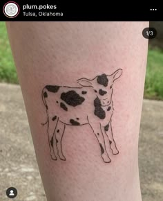 a small black and white cow tattoo on the right calf's leg, with grass in the background