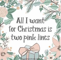 a christmas card with pink flowers and green leaves on the border, all i want for christmas is two pink lines