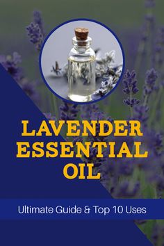 This lavender essential oil guide from Pure Family Essentials is the ultimate list for using lavender in many different ways! | lavender diffuser blends | uses for lavender essential oil | guide to using lavender essential oil | lavender essential oil uses Lavender Diffuser Blends, Uses For Lavender, Lavender Essential Oil Benefits, Lavender Diffuser, Using Lavender, List Of Essential Oils, Essential Oil Safety