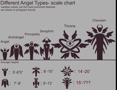 the different types of angels are shown in this diagram