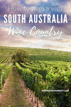 a vineyard with the words how to plan a visit south australia wine country on it