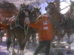 two horses pulling a cart with people in it on a snowy day and one horse is wearing an orange shirt