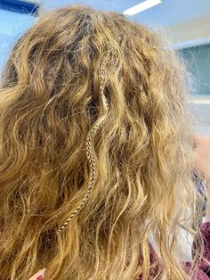 the back of a woman's head with long curly hair and braids on it