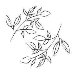 a branch with leaves drawn in black ink on a white background, the outline is not visible