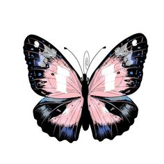 a pink and black butterfly on a white background