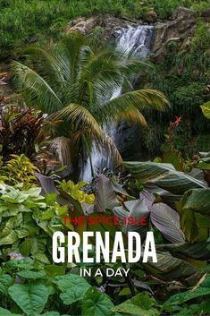 there is a waterfall in the middle of some plants and trees with text overlay that reads, the paradise of grenada in a day