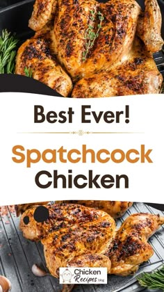 the best ever spatchcock chicken recipe on a grill