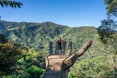 a woman standing on top of a wooden bridge in the middle of a lush green forest