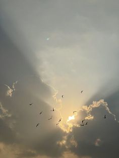 a flock of birds flying in the sky with sun shining through clouds behind them,