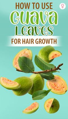 Using guava leaves on your hair can leave it feeling soft and looking lustrous and increase its volume, providing hair nourishment. #HairCare #HealthyHair #DIY Benefits Of Guava, Guava Benefits, Workout Diet Plan, Most Paused Movie Scenes, Latest Hair Trends, Belly Fat Burner Drink, For Hair Growth