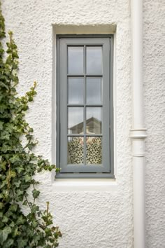 a white building with a window and green plants