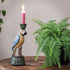 a blue and yellow bird sitting on top of a wooden table next to a potted plant