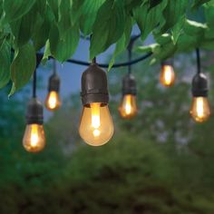 outdoor string lights hanging from a tree branch