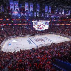 an ice hockey arena with fans watching the game