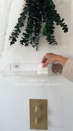 a person is holding a soap bar in front of a plant on the wall with text overlay that reads, bottle free shampoo & conditioner bars