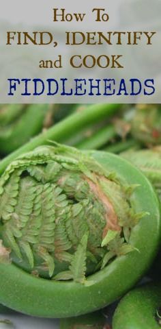 green vegetables with the title how to find, identify and cook fiddleheads on them