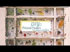 an old window is decorated with pressed flowers and the words diy on glass windows