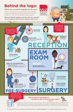 the info sheet shows different types of medical equipment