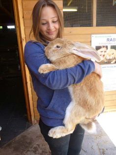 a woman holding a rabbit in her arms