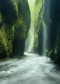 a narrow road surrounded by mossy rocks and trees with a waterfall coming out of the middle